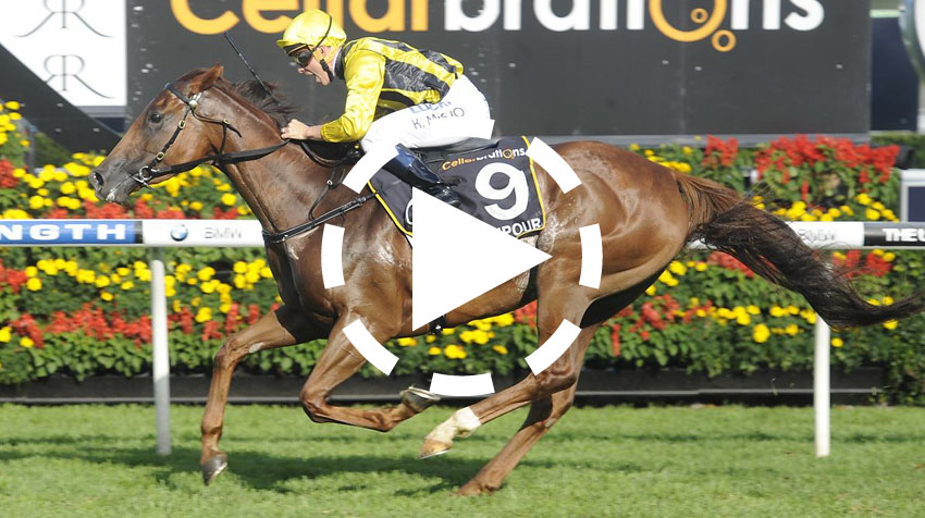 The Legacy Stakes Replay 2015