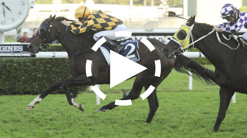 Queen Elizabeth Stakes Replay 2014