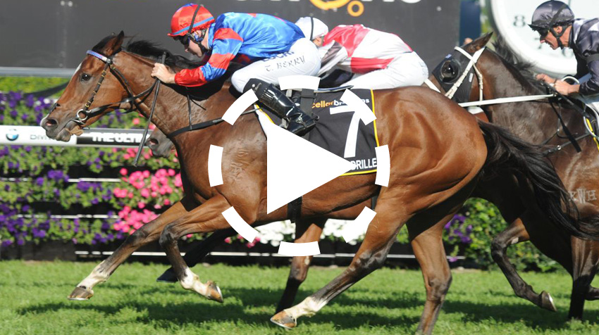 The Legacy Stakes Replay 2014